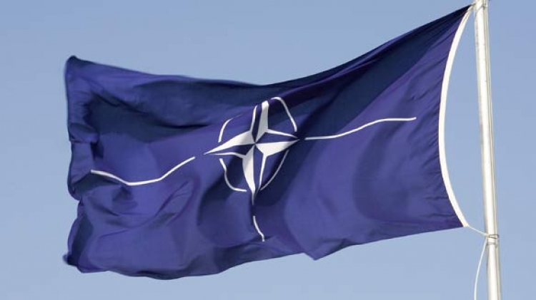 Deputații Valeriu Saharneanu și Vadim Vacarciuc participă la un Program de Instruire organizat de Adunarea Parlamentară NATO